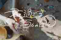 君と過ごす百々の日々