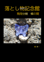 落とし物記念館——飛翔分館 蝶の間