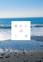 崩れる本棚No.0.0