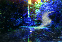 Untouched.(ポストカード)
