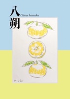 八朔