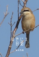 はやにえ日記