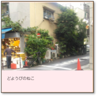 どようびのねこ