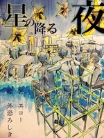 星の降る夜