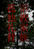 宗教家族孤独礼賛