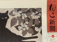 月刊『ねこ新聞』2018年6月号