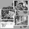 幽霊塔 口絵セット