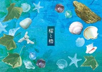 櫂と櫓