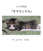 たま写真集