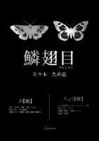 鱗翅目