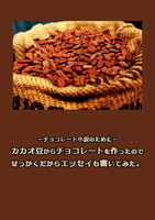 カカオ豆からチョコレートを作ったのでせっかくだからエッセイも書いてみた。