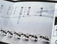 詩人の屏風 山村暮鳥