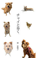 チャイと歩く
