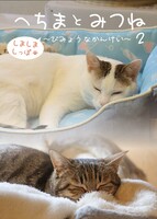 へちまとみつね2〜びみょうなかんけい〜