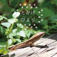 とかげびより