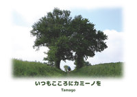 いつもこころにカミーノを