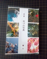 番外編 ゆづの写真