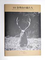 写真集 「霊島金華山の鹿たち」