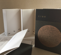 月下遊狸