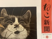月刊『ねこ新聞』2011年8月号