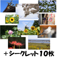ポストカード写真集「景色の封筒」