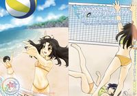 【文フリ東京新刊】BEACH VOLLEYBALL〜一般人でもわかるビーチバレーの魅力〜 第3章