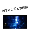 部下と上司と水族館