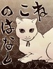 ねこのはなし