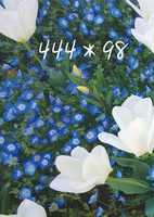 444*98