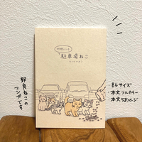 行徳にいる駐車場ねこ