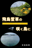 飛島萱草の咲く島に