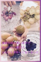 春夏秋冬君と歩んだ道「秋」