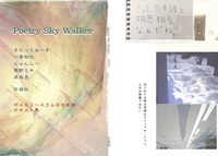 Poetry Sky Walker