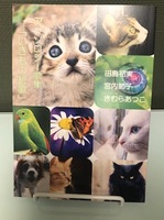 いきもの短歌