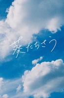 葵たちさう