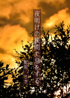 夜明けの狭間で息をする