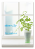 eternity