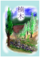 楠木