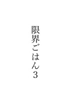 限界ごはん3