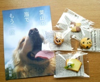 葉山の海でもう一度(フェイクスイーツマグネット付き)