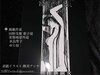贋作新淑女vol.1
