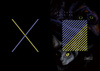 自由と幸福の間に揺れて鳴く黒猫
