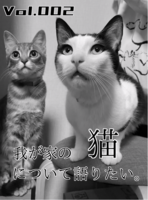 我が家の猫について語りたい。Vol.2