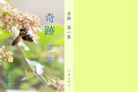 奇跡 第一集