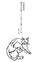 猫が引力を知っているように落としている