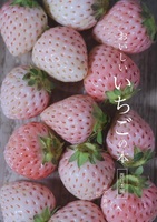 おいしいいちごの本 西日本編
