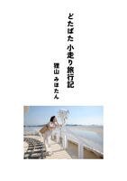 どたばた小走り旅行記