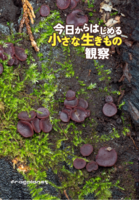 今日からはじめる小さな生きもの観察