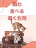 読む 食べる 聴く生活