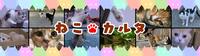 ねこカルタ